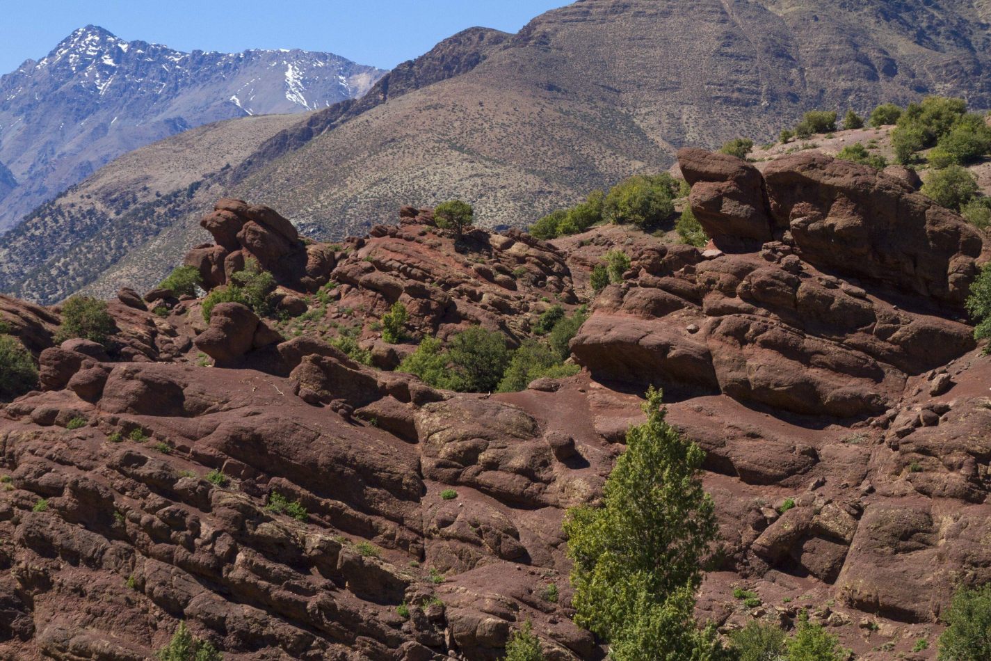 Storvandre: Tizi n Test Pass