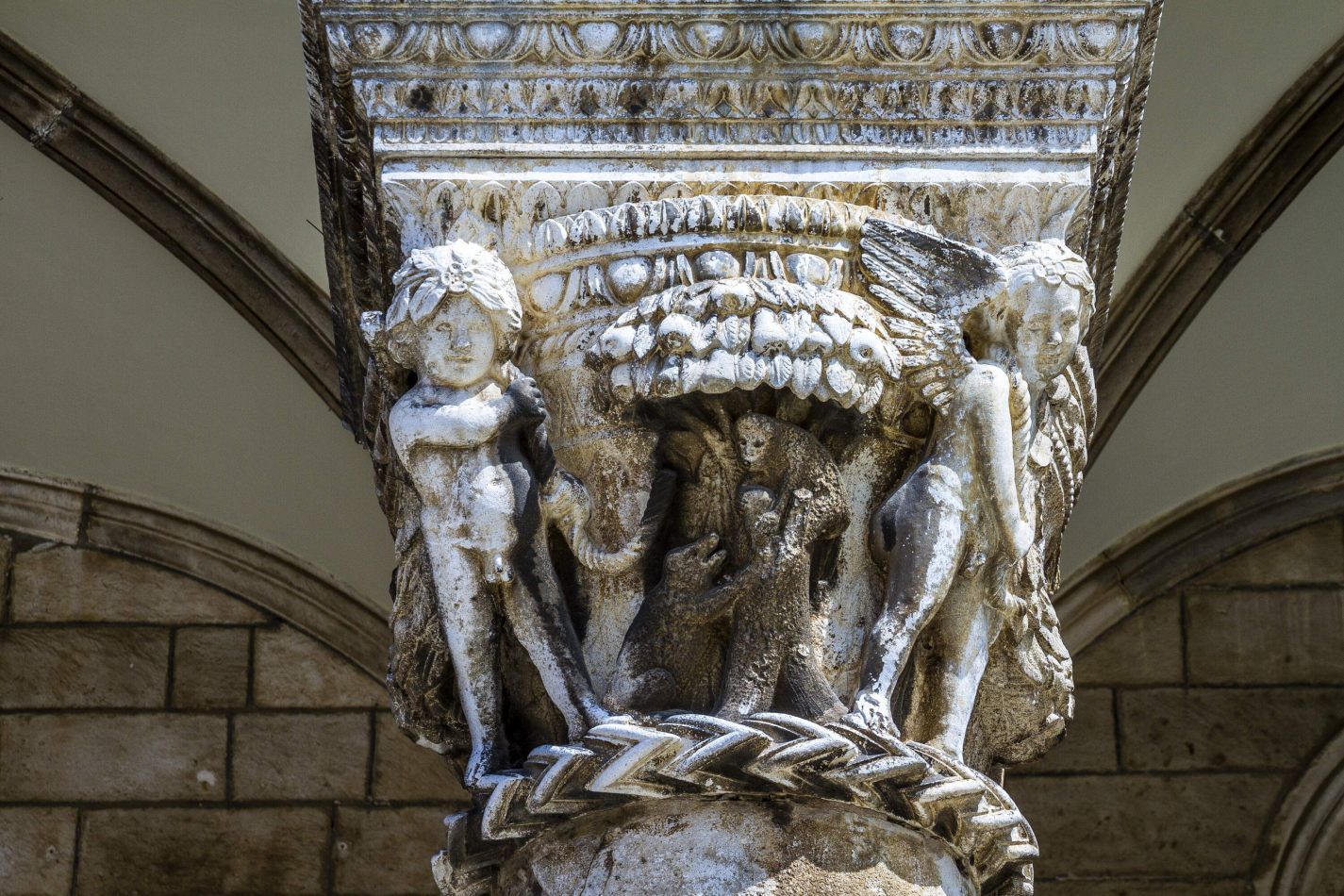 Storvandre: Dubrovnik