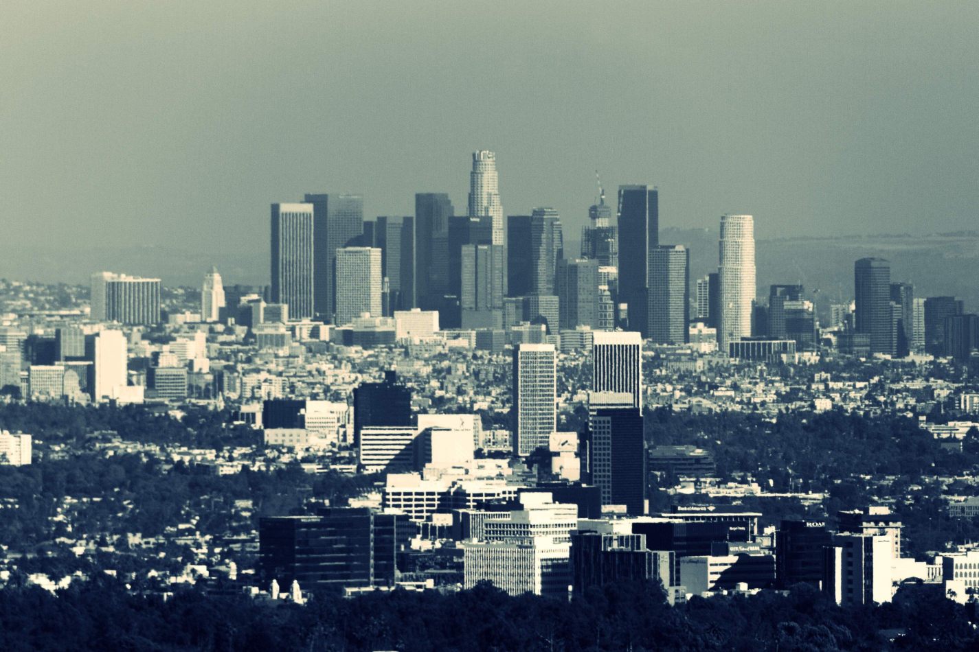 Storvandre: Los Angeles