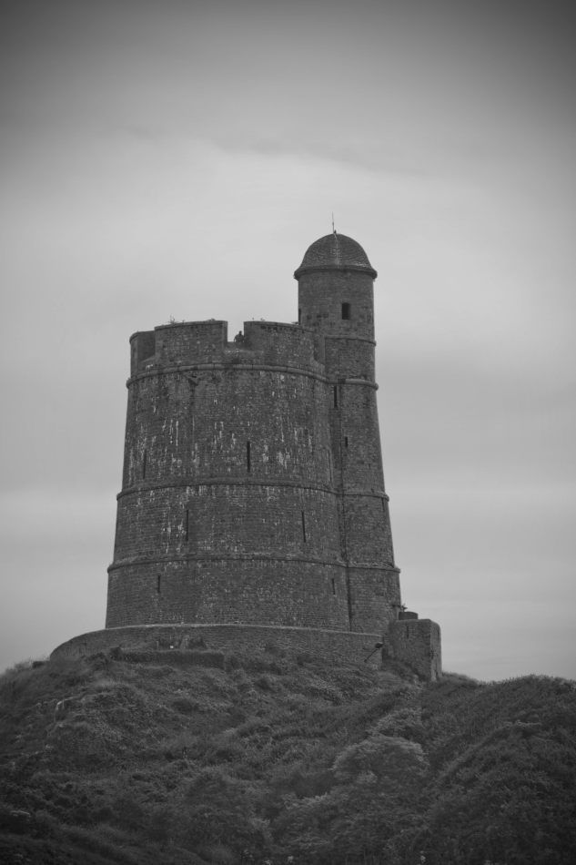 Storvandre: Cap de la Hague