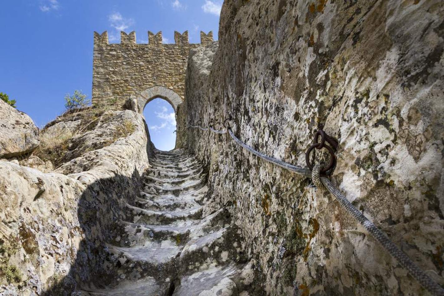 Storvandre: Sperlinga