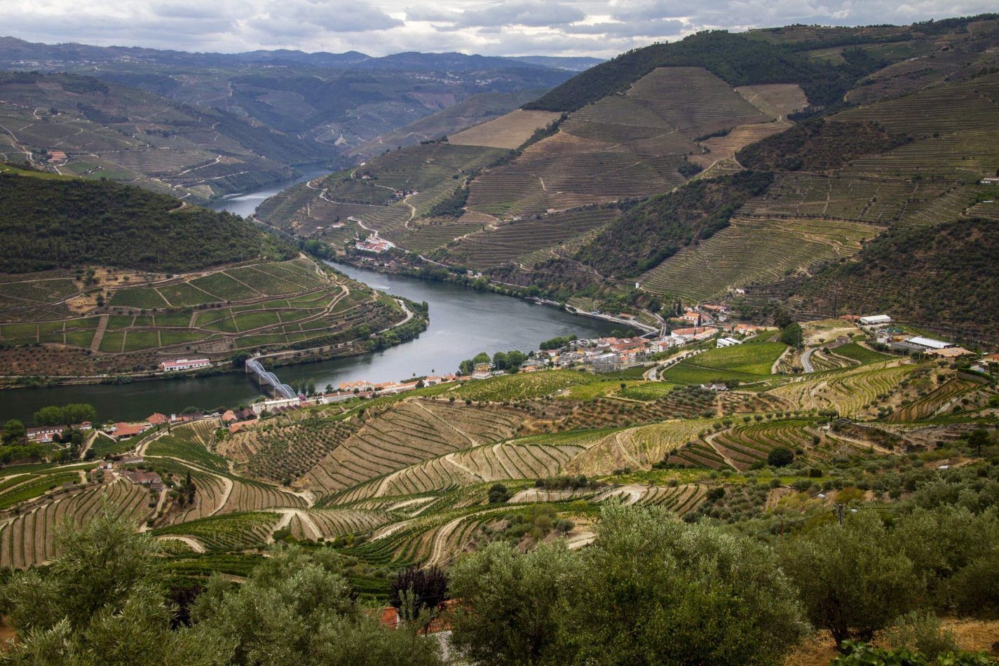 Douro Valley