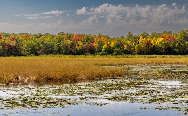 Duluth to the Twin Cities