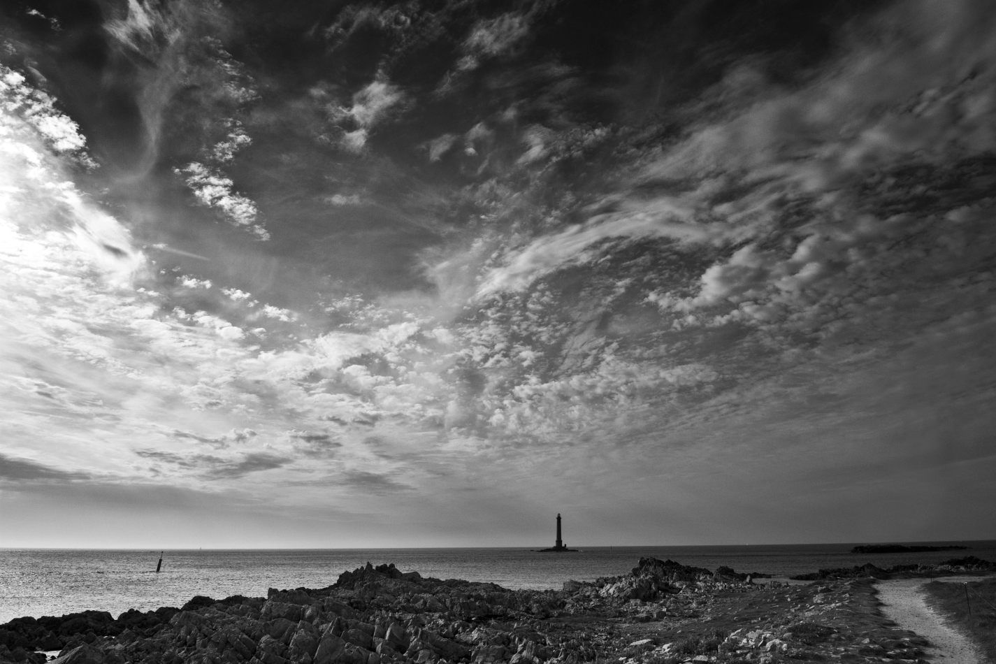 Storvandre: Cap de la Hague