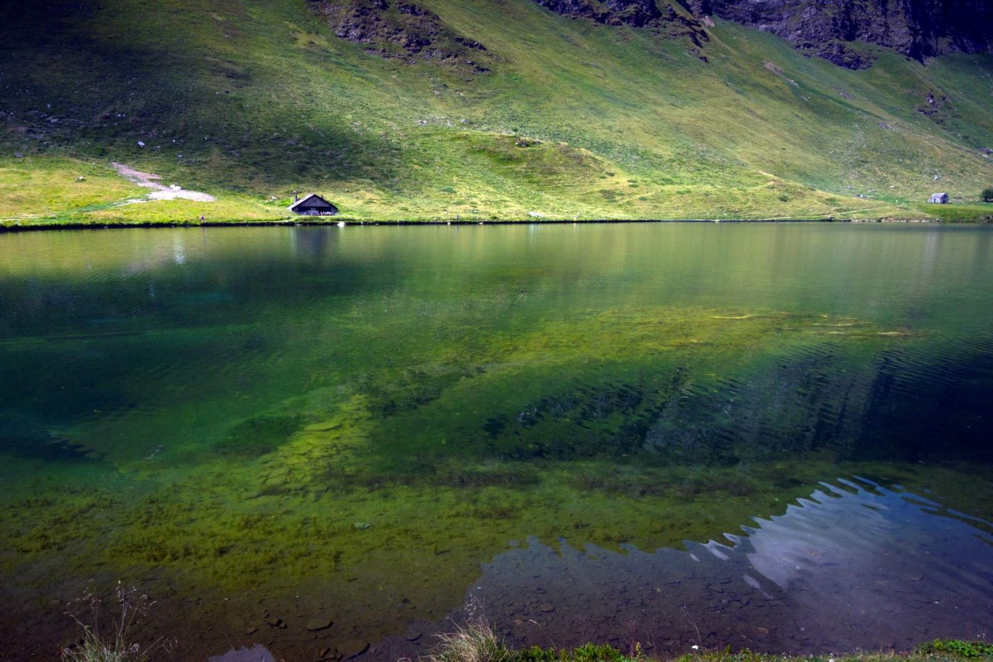 Storvandre: Ritom Lake