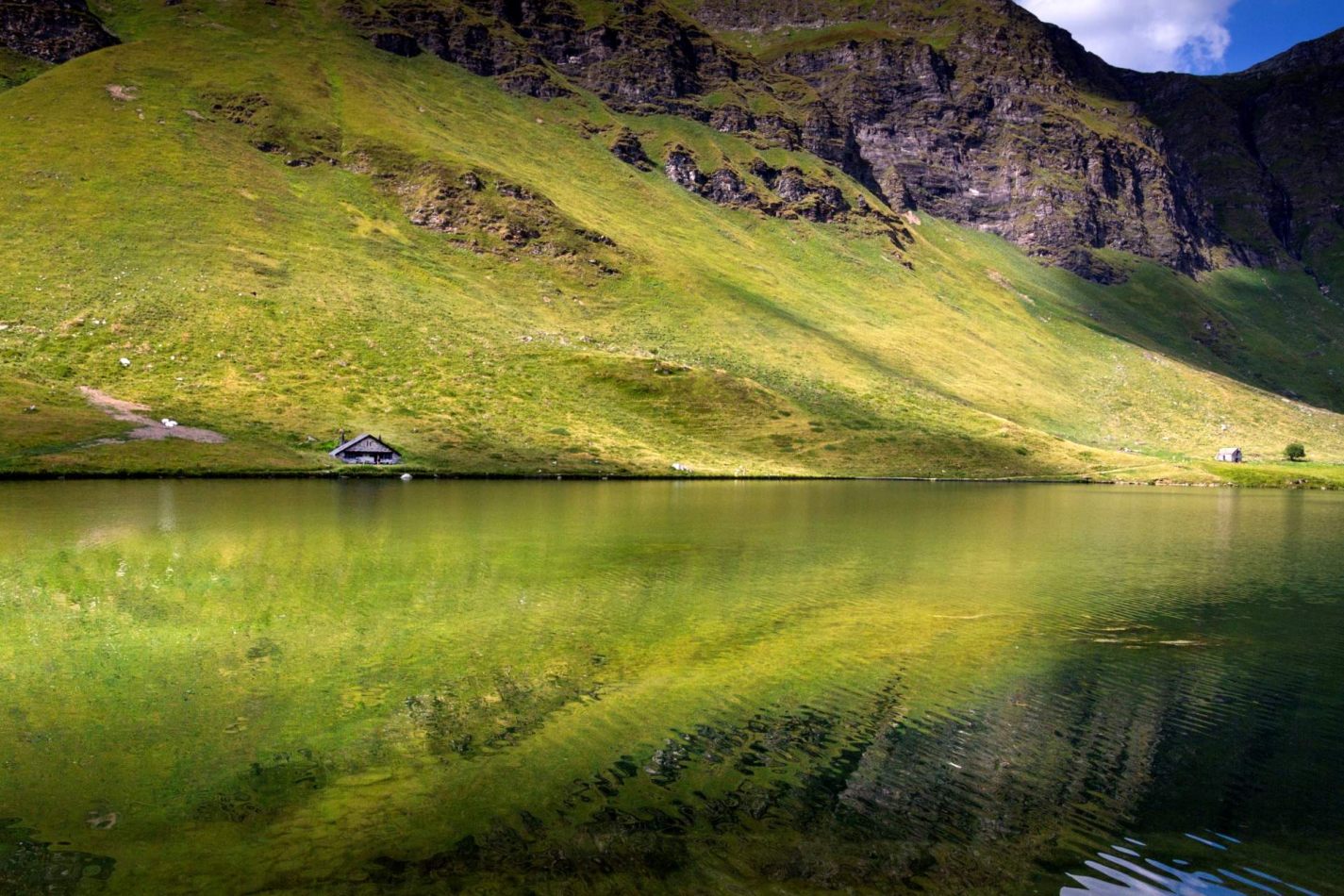 Storvandre: Ritom Lake