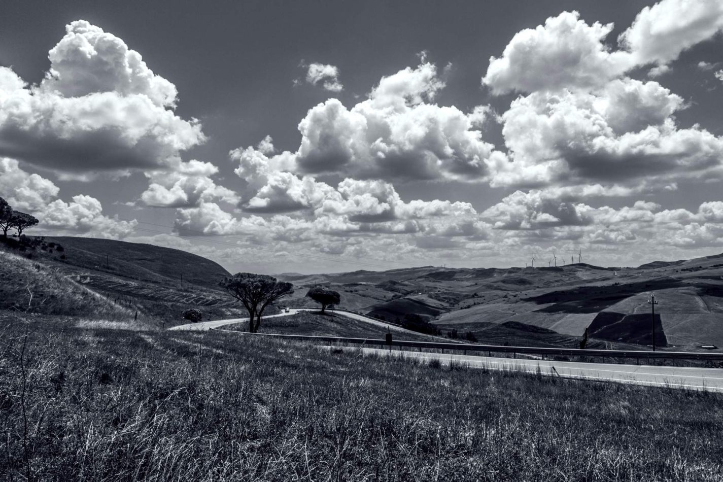 Storvandre: Petralia