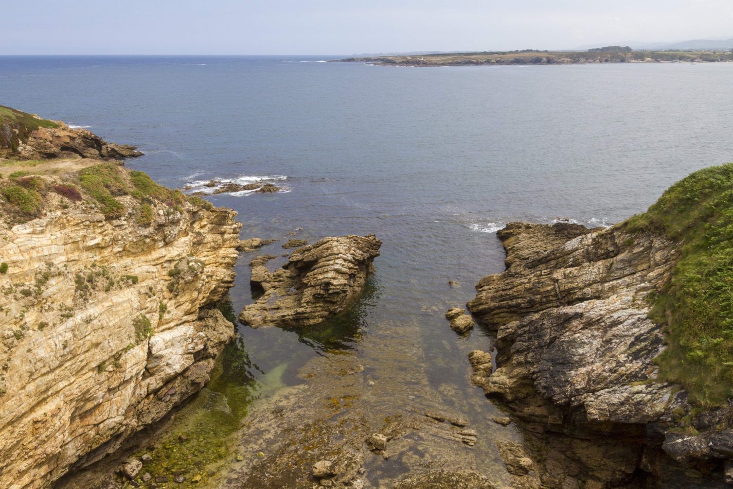 Storvandre: Illa Pancha