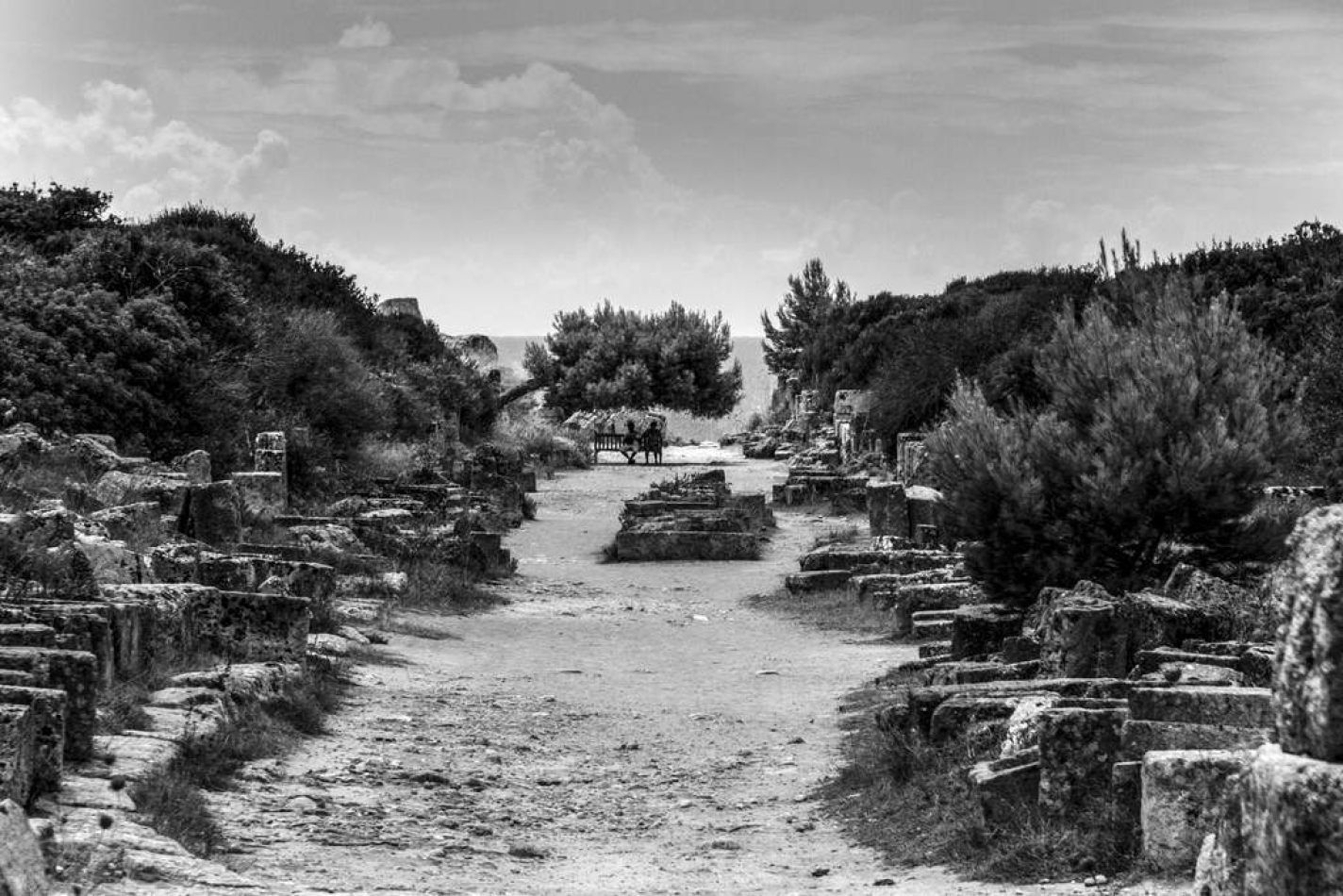 Storvandre: Selinunte