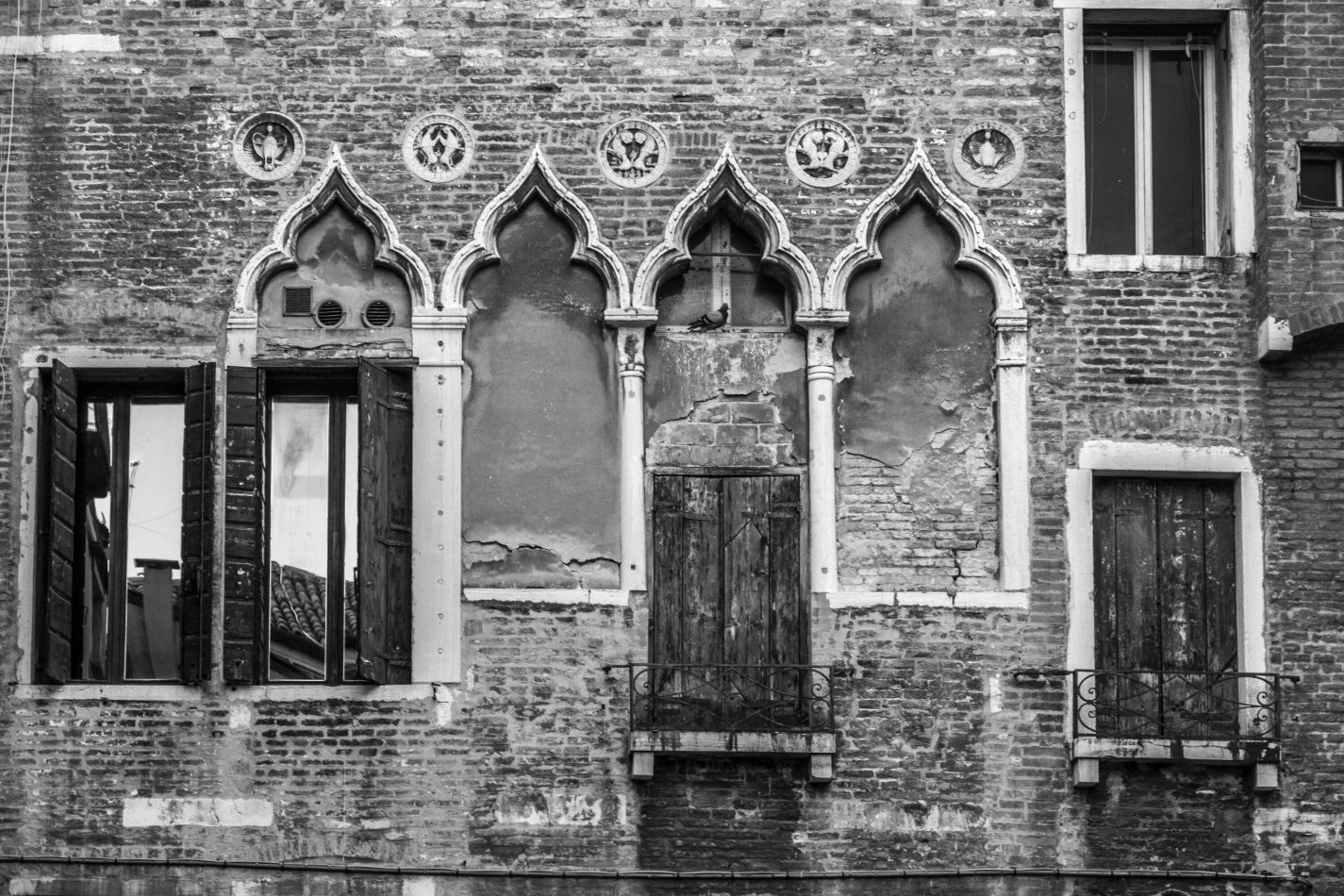 Storvandre: Venice
