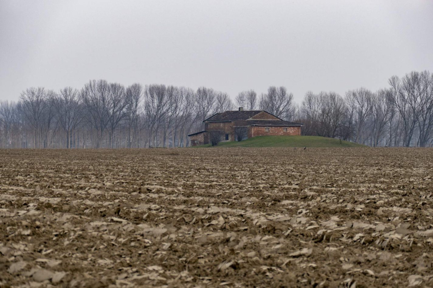 Storvandre: Golena del Po