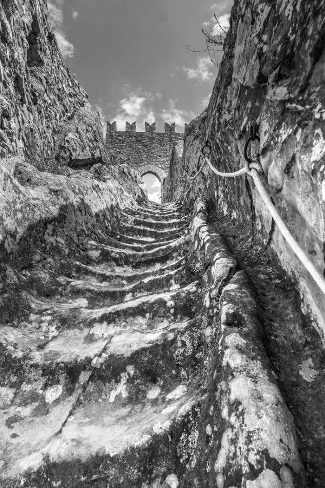 Storvandre: Sperlinga