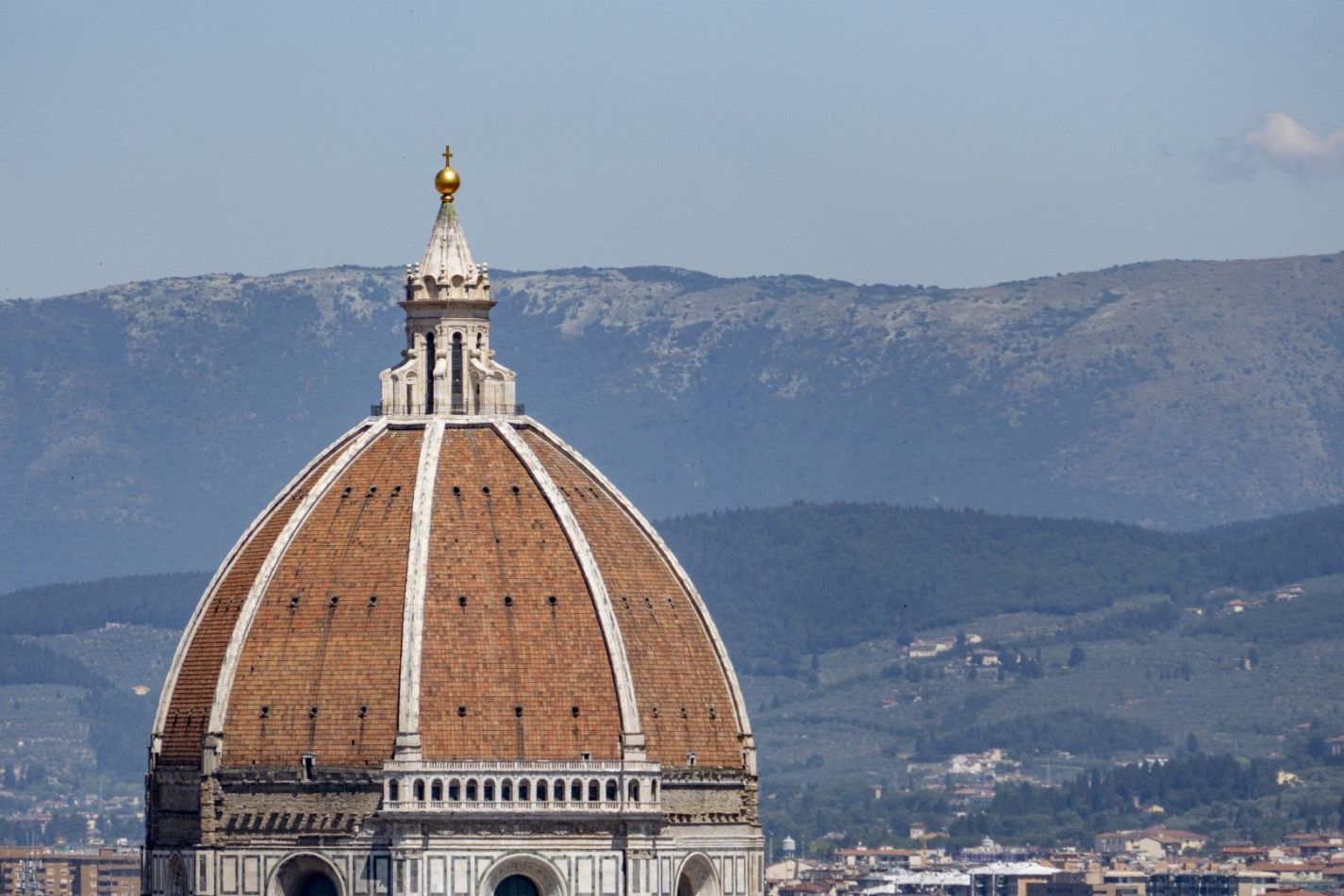 Storvandre: Florence