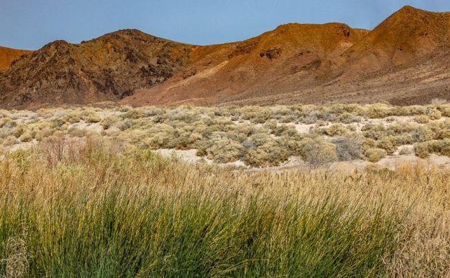 Henderson A day of R R