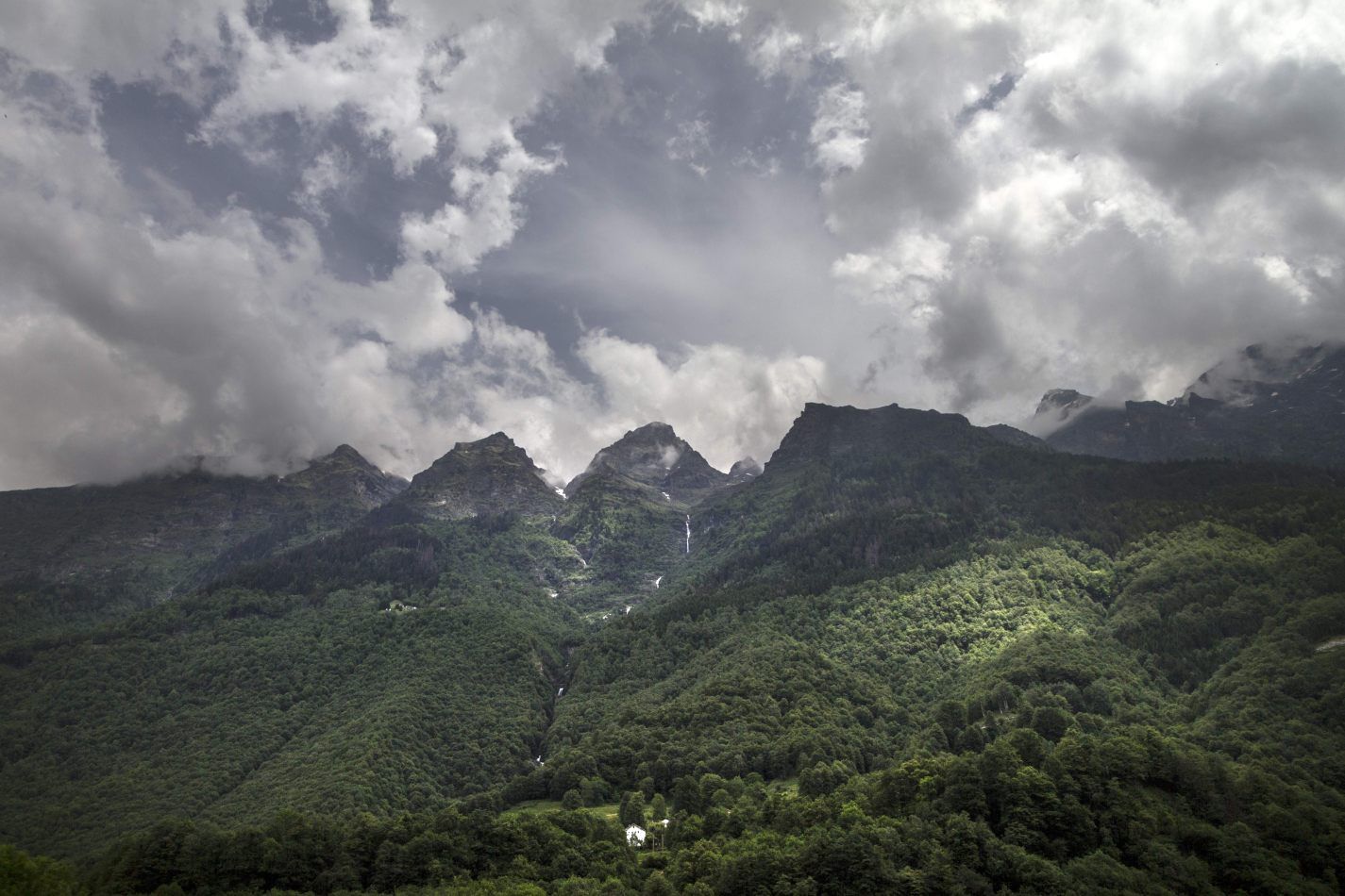 Storvandre: San Bernardino