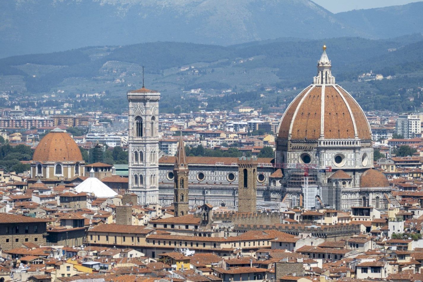 Storvandre: Florence