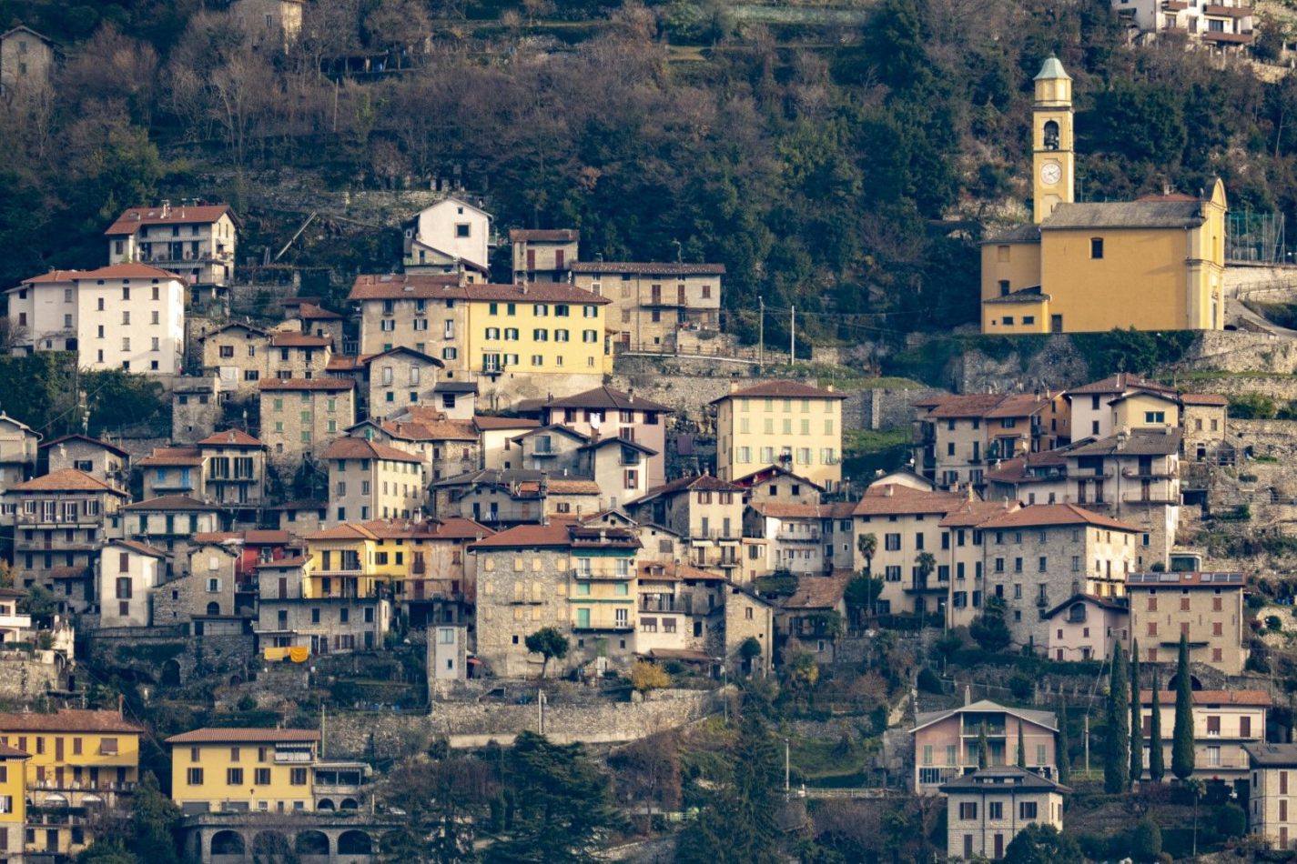 Storvandre: Carate Urio