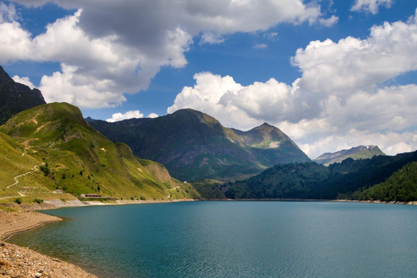 Storvandre: Ritom Lake