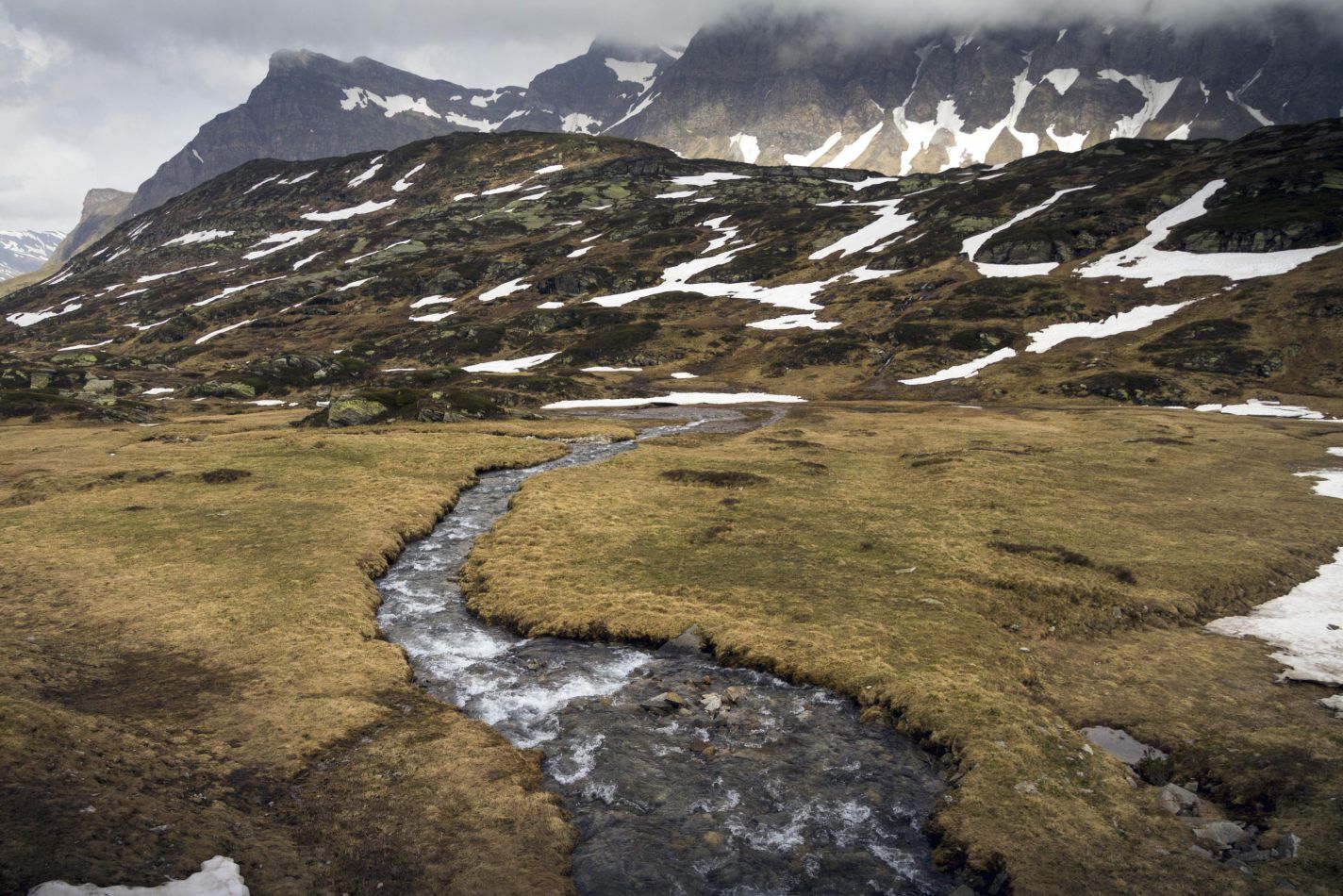 Storvandre: San Bernardino