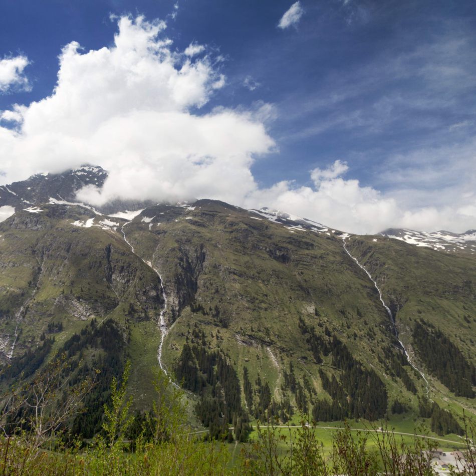 Storvandre: San Bernardino