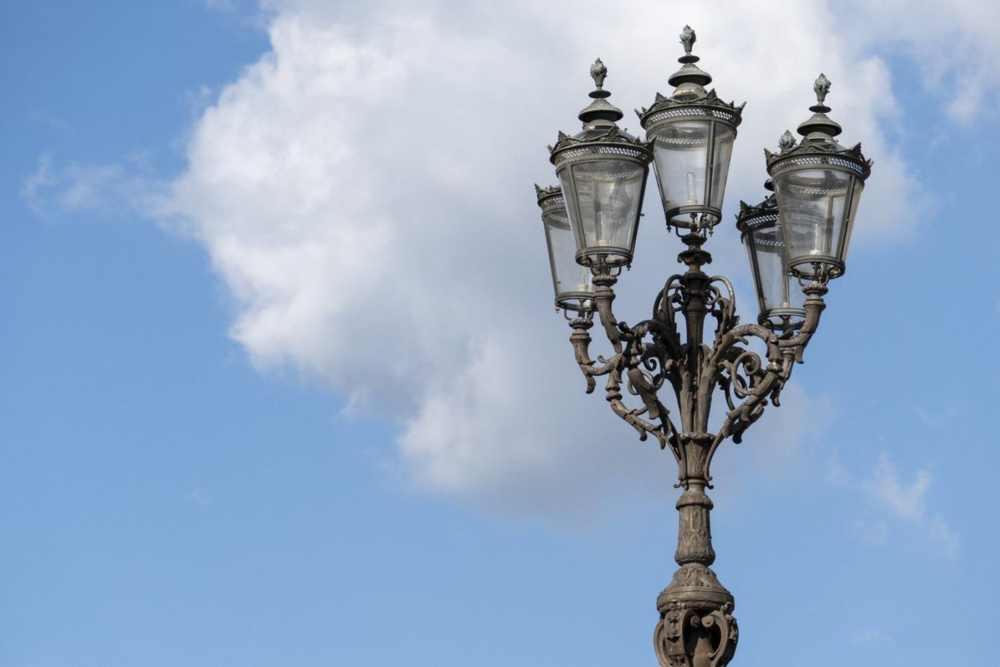 Storvandre: Florence