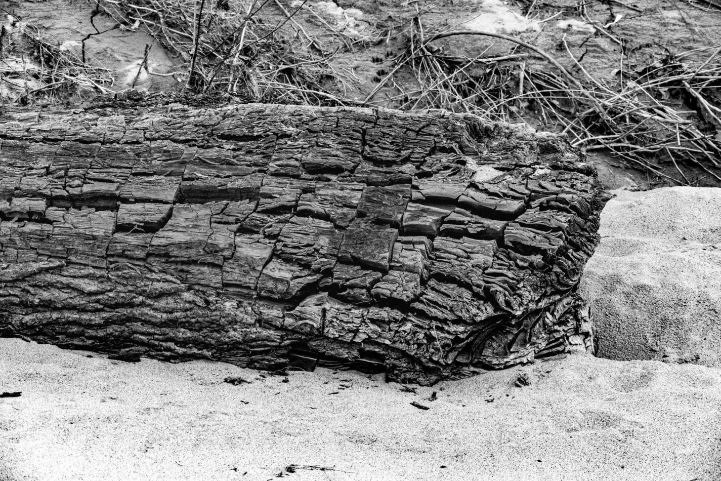 Storvandre: Golena del Po