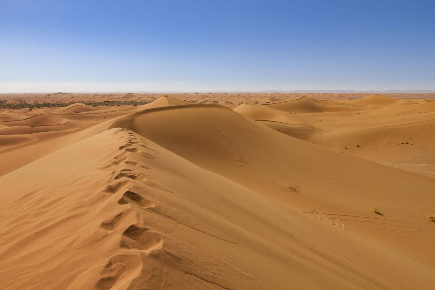 Storvandre: Erg Chigaga