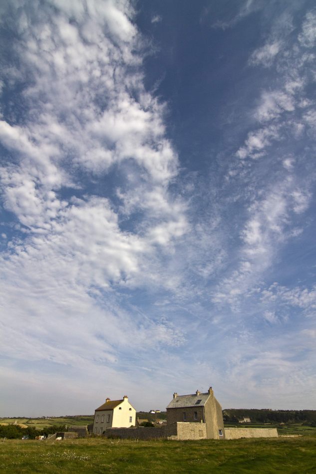 Storvandre: Cap de la Hague