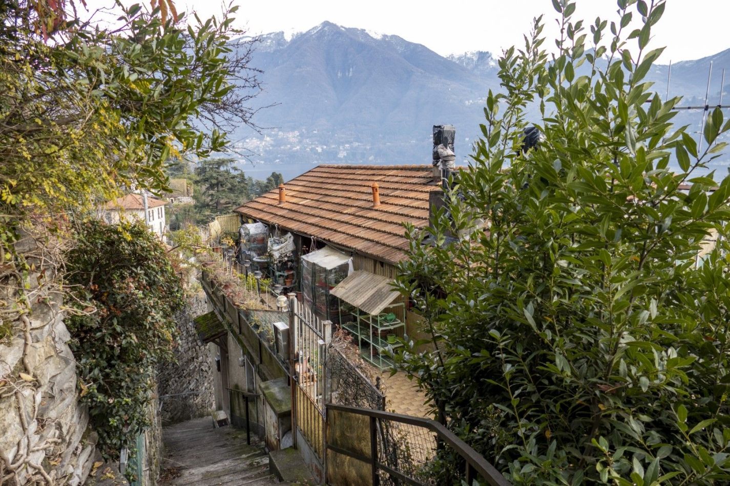 Storvandre: Carate Urio