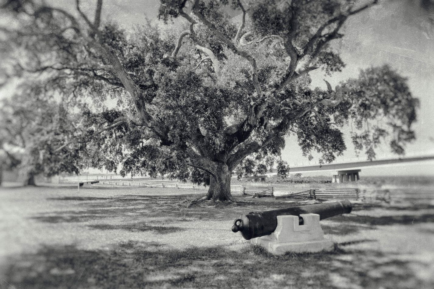 Storvandre: New Orleans