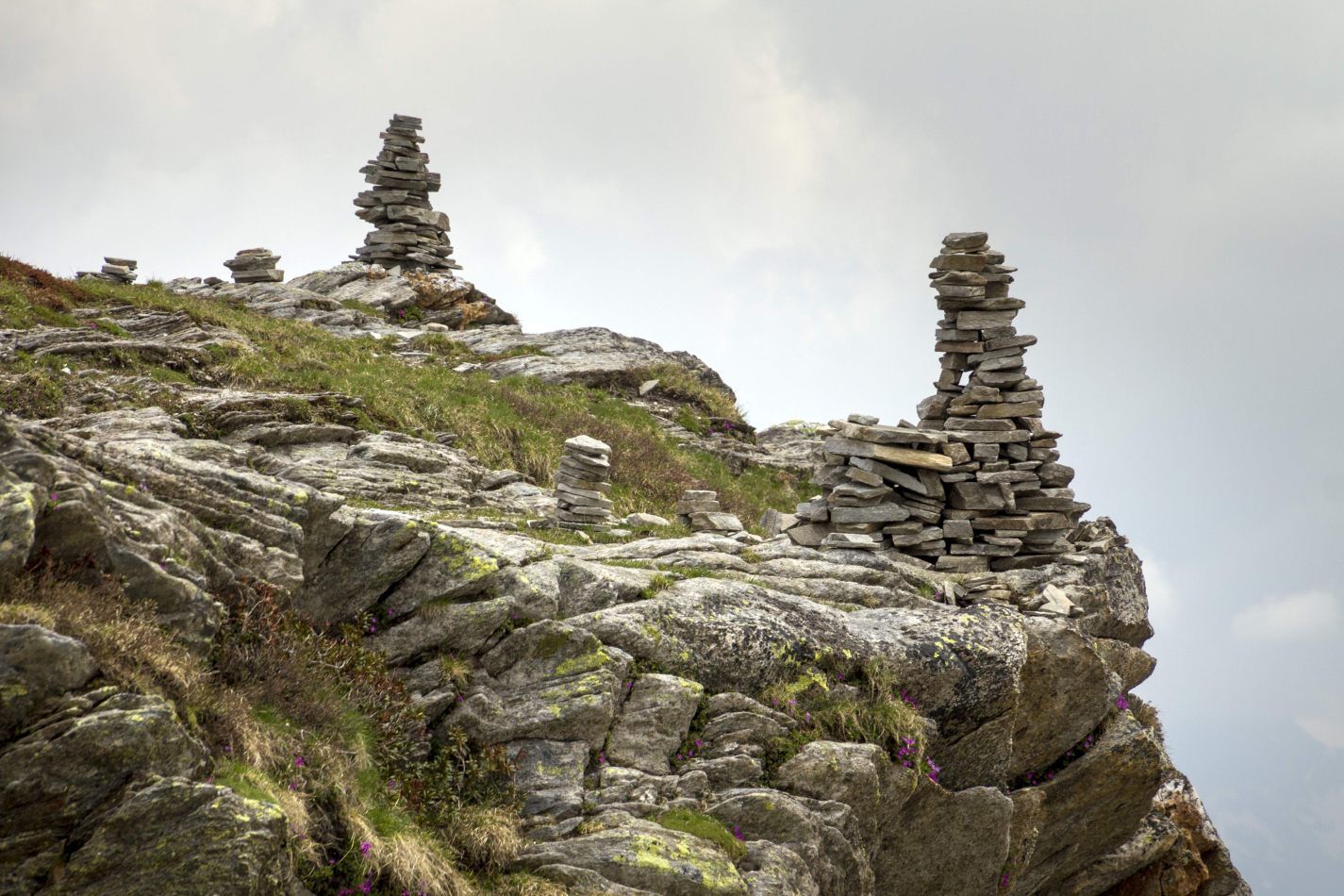 Storvandre: San Bernardino