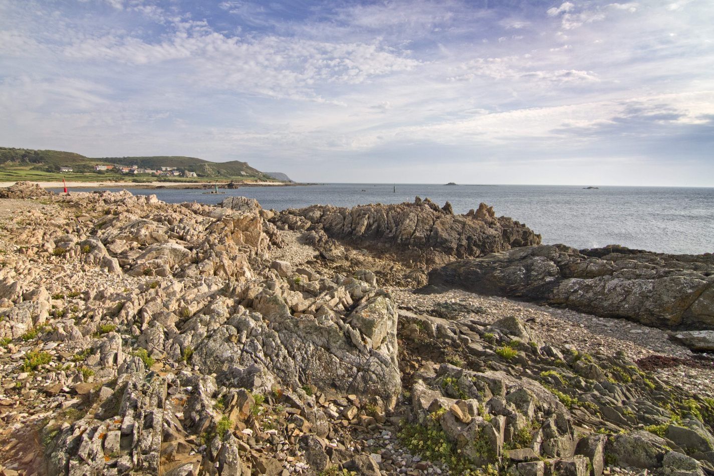 Storvandre: Cap de la Hague