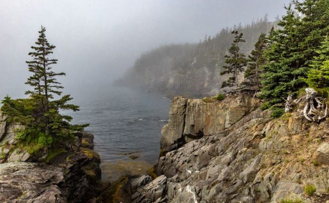 Bar Harbor Quoddy Head State Park