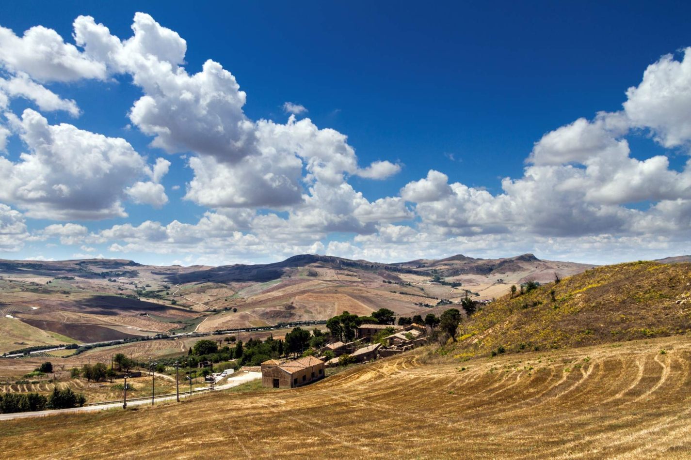 Storvandre: Petralia