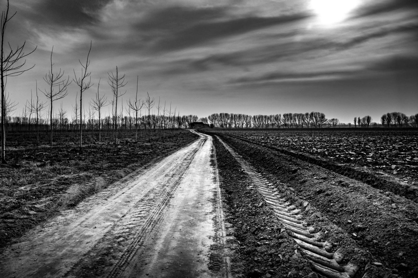 Storvandre: Golena del Po