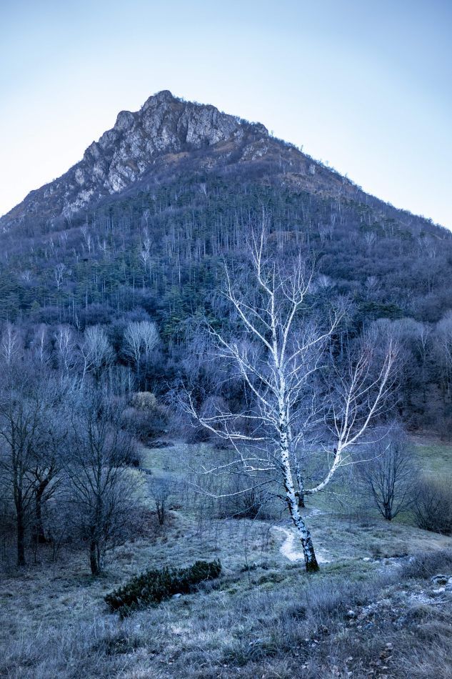 Storvandre: Monte Barro