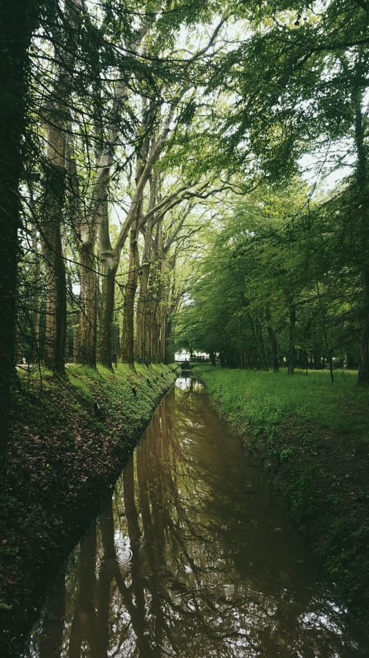 kctamvakisphotography: LOIRE VALLEY