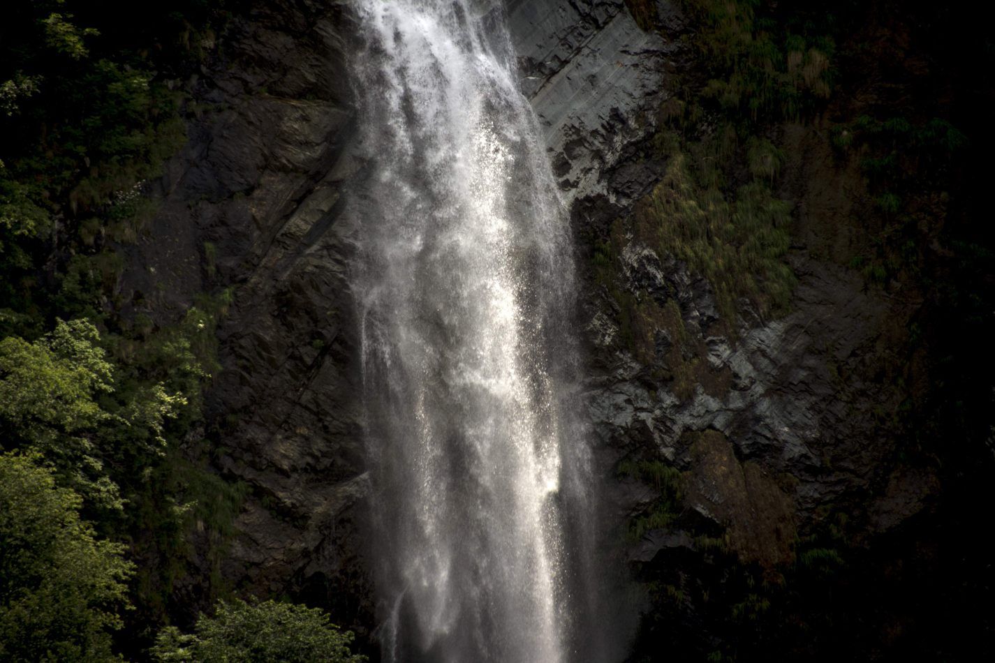 Storvandre: San Bernardino