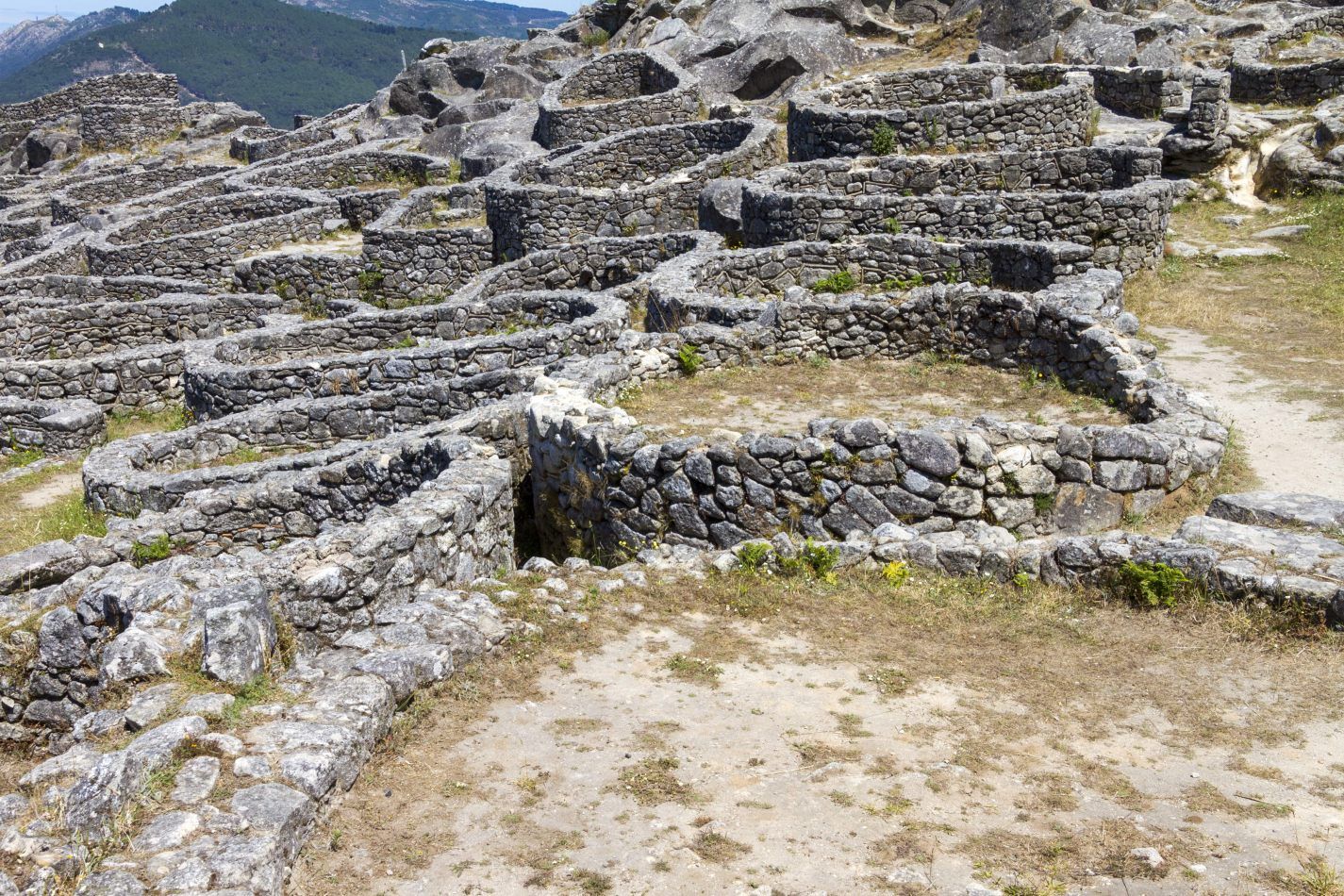 Storvandre: Santa Trega