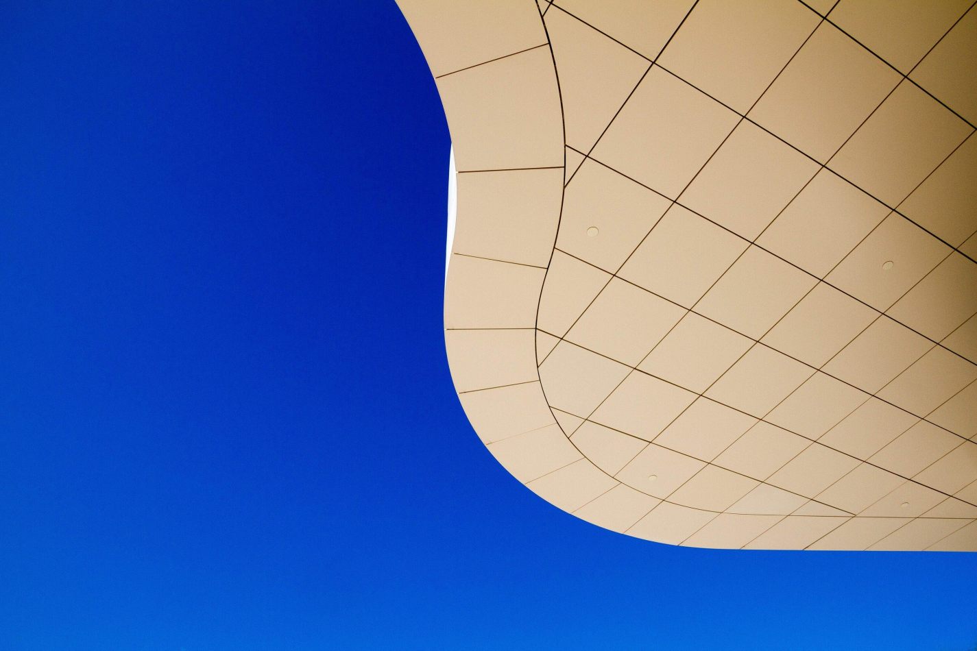 Storvandre: Los Angeles