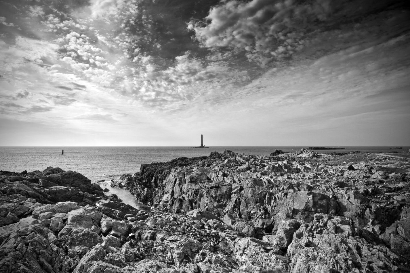 Storvandre: Cap de la Hague