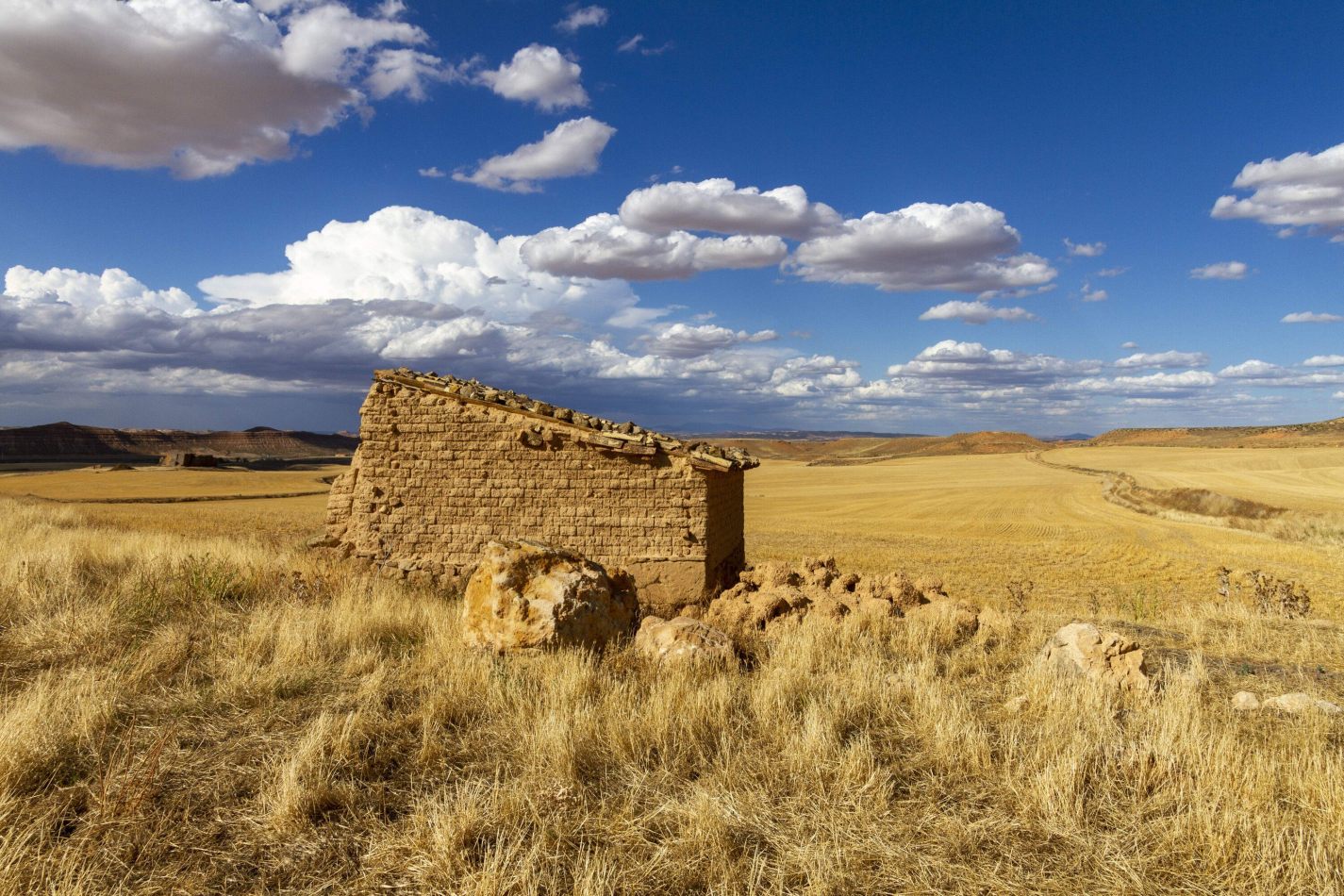 Storvandre: Montuenga