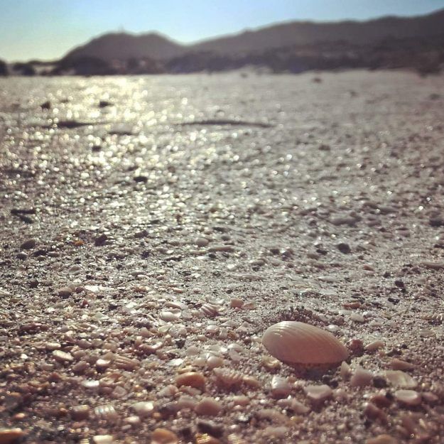 photos matching tag:sardegna