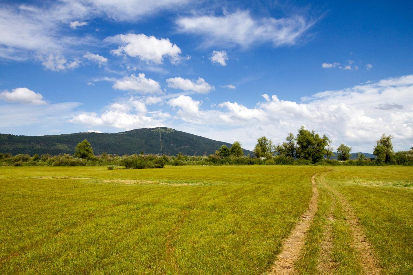 Storvandre: Cerkni� ko jezero