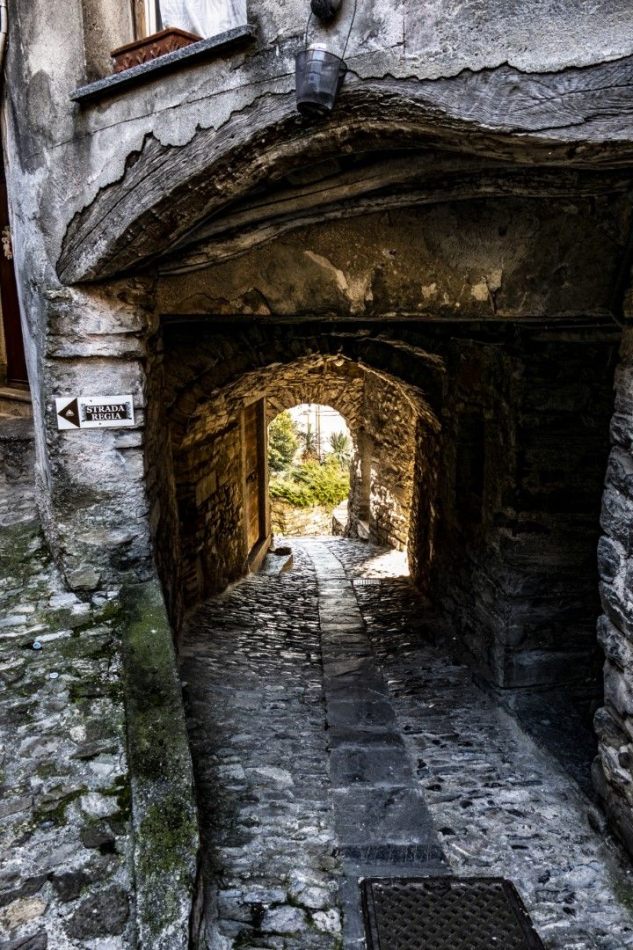 Storvandre: Pognana Lario