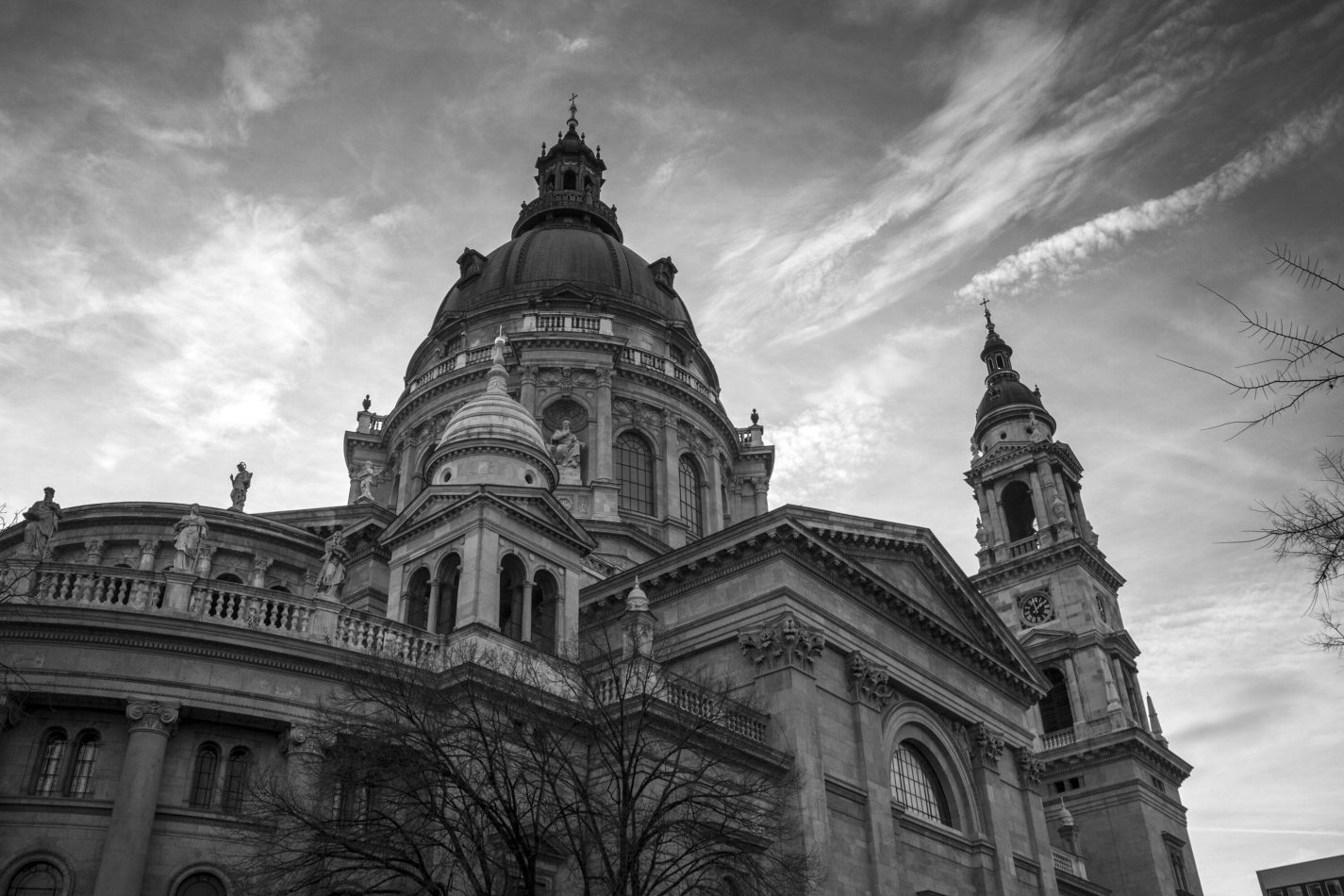 Storvandre: Budapest