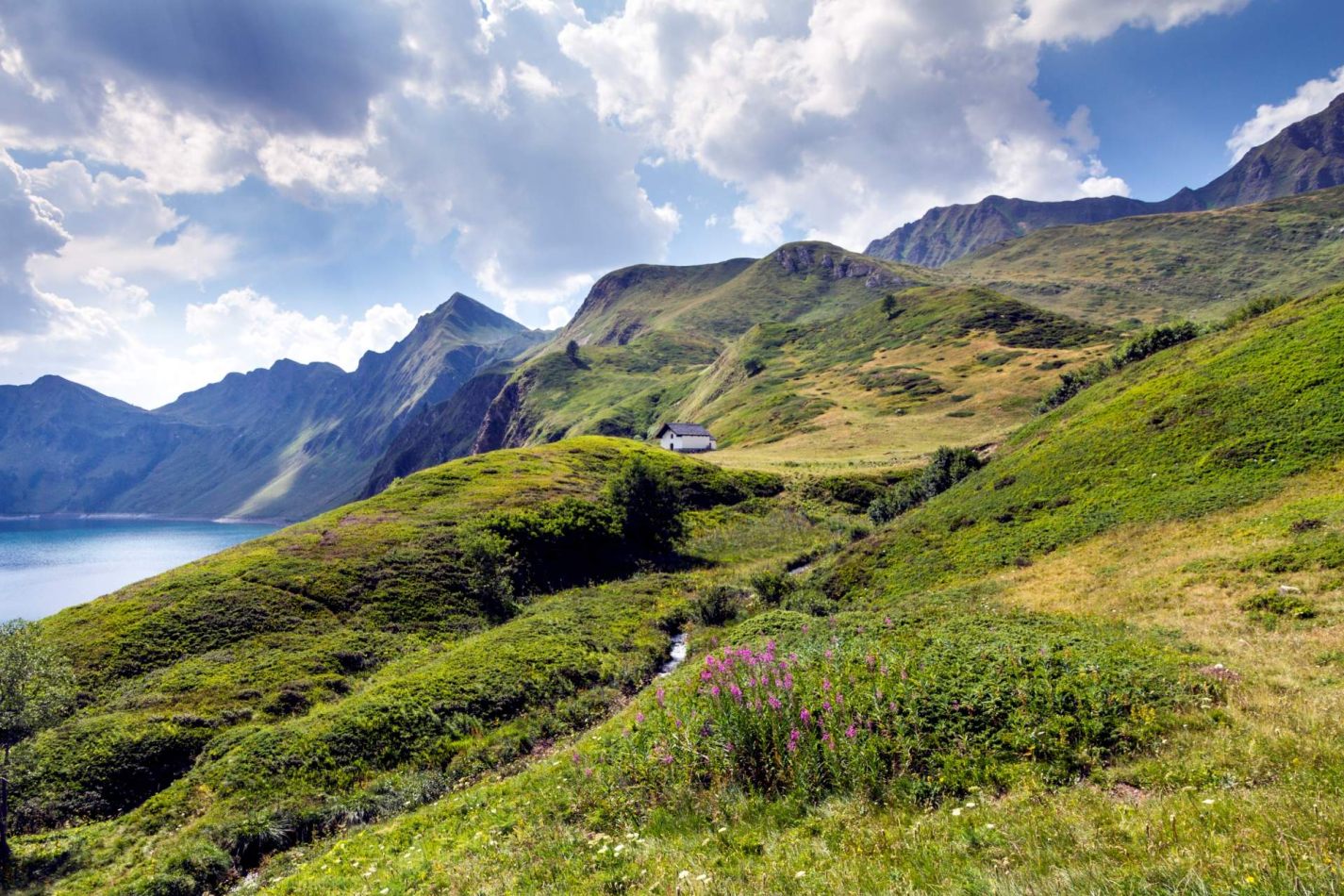 Storvandre: Ritom Lake