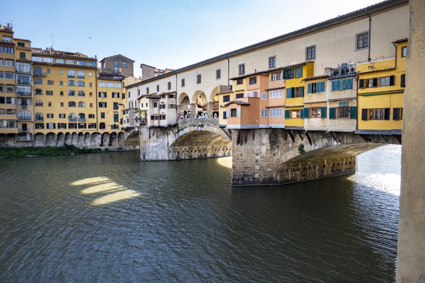 Storvandre: Florence