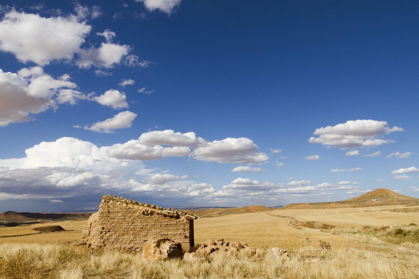 Storvandre: Montuenga