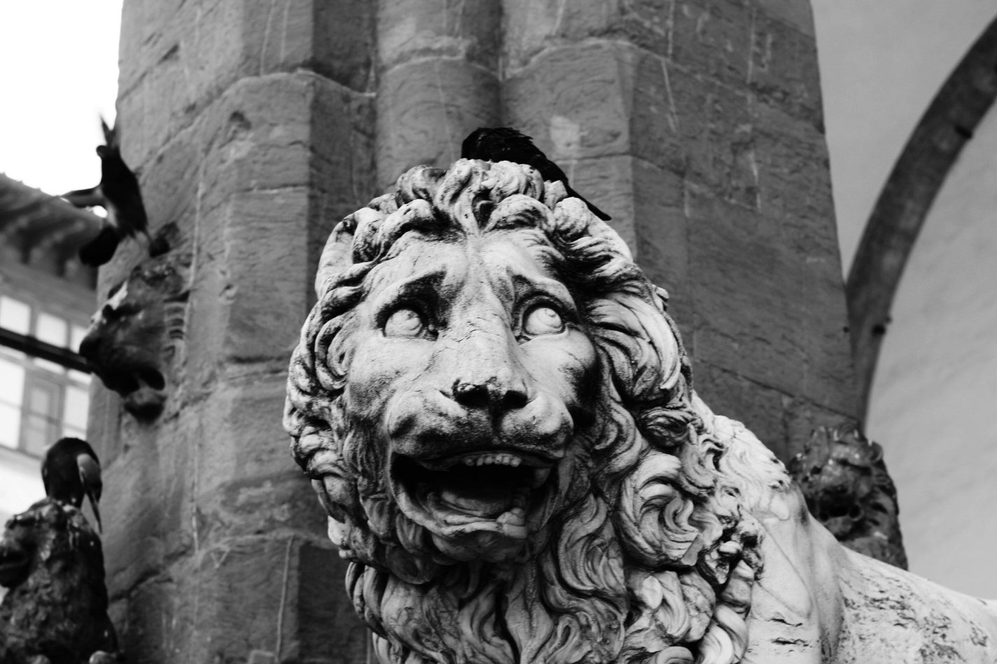 kctamvakisphotography: FLORENCE